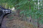 Excursion train on a curve.